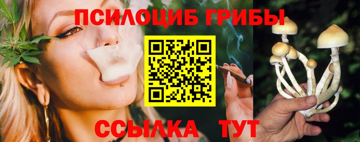 Псилоцибиновые грибы мухоморы Семёнов